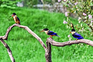 《Space for Sale》Steam抢先体验 外星世界探索经营